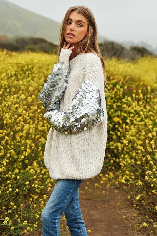 Dave & Dani Sequin Sleeve Sweater Knit Tunic Top